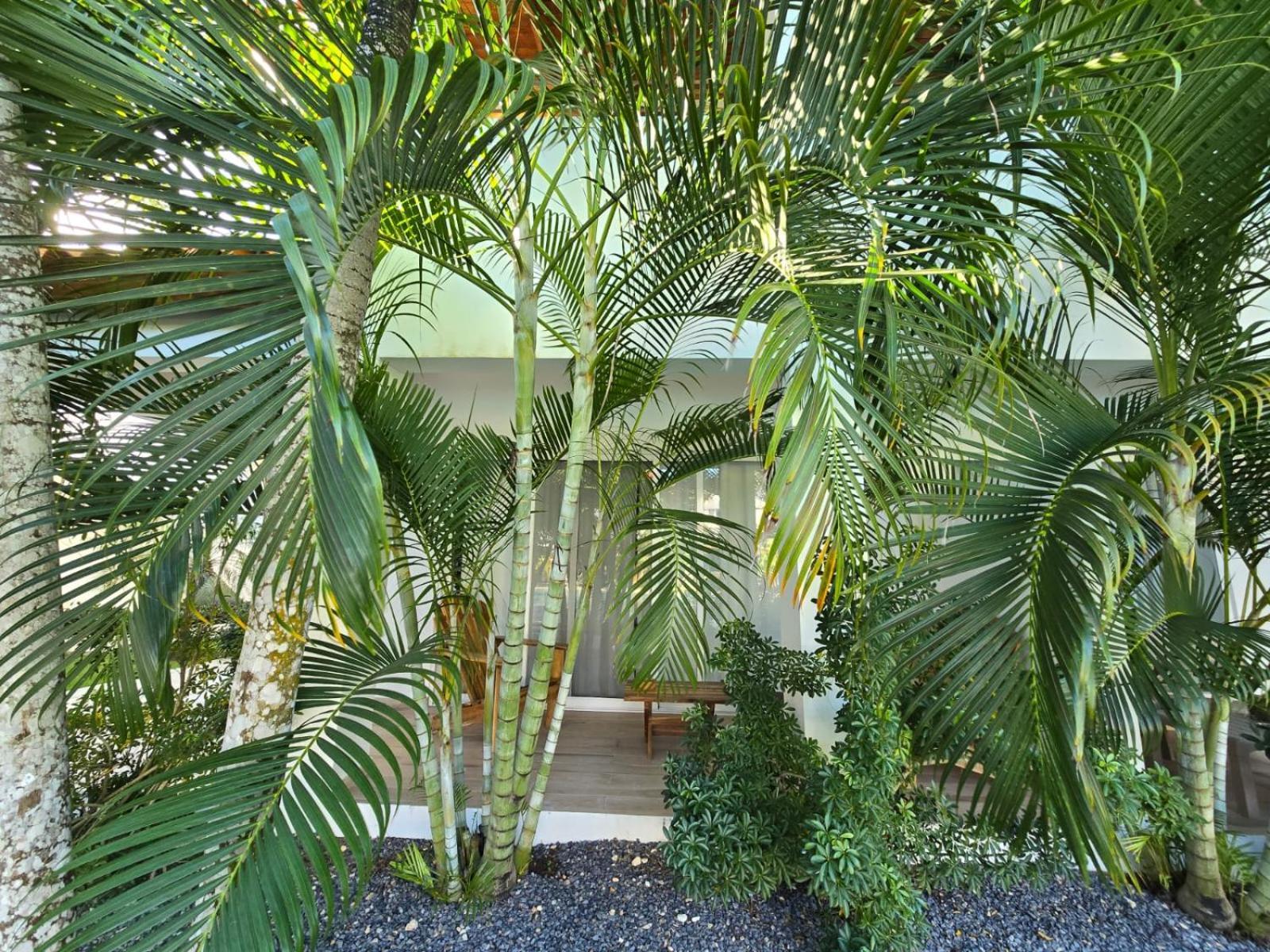 Residencial Paraiso Pool Bayahibe Exterior foto